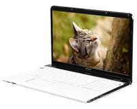 Ноутбук Sony  SVE1713L1R white. Интернет-магазин компании Аутлет БТ - Санкт-Петербург